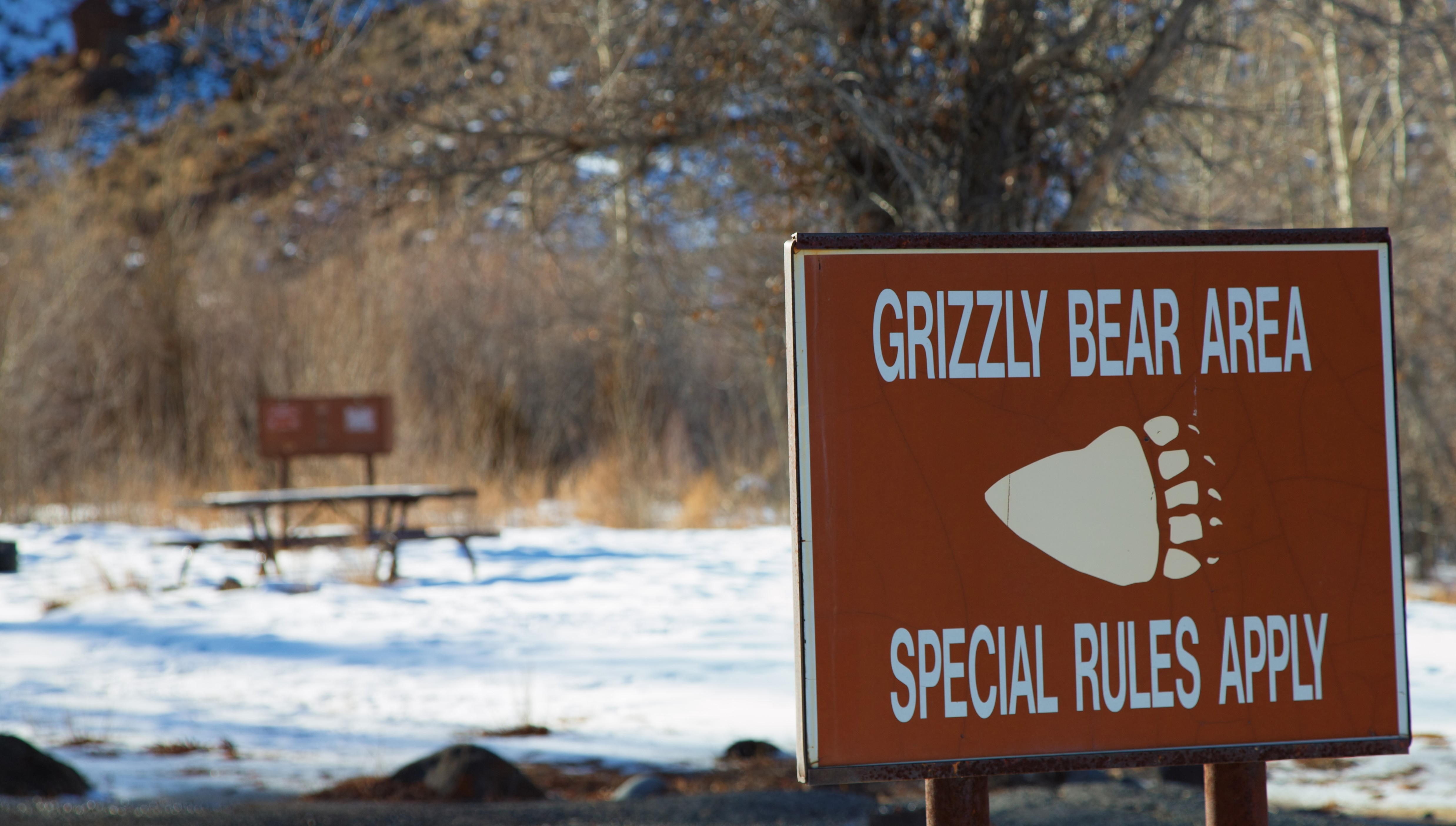 Special Rules Apply - North Fork Shoshone River, Wyoming